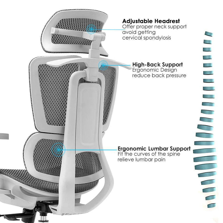 Mesh Ergonimic Office Student Chair With Lumbar Support - DLB Furniture