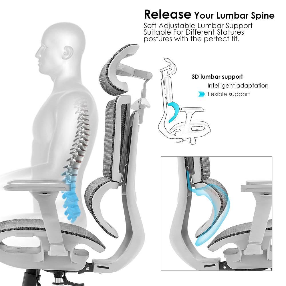 Mesh Ergonimic Office Student Chair With Lumbar Support - DLB Furniture