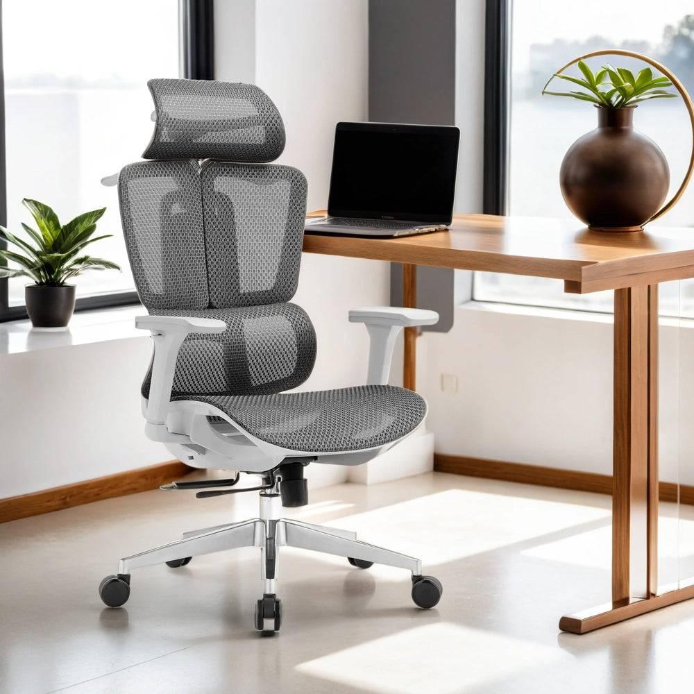 Mesh Ergonimic Office Student Chair With Lumbar Support - DLB Furniture