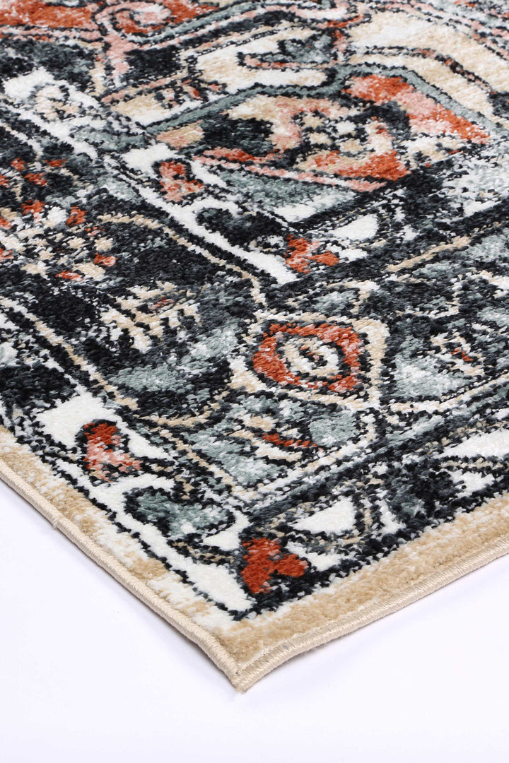 Close-up of a multicolor patterned area rug with beige border on white background