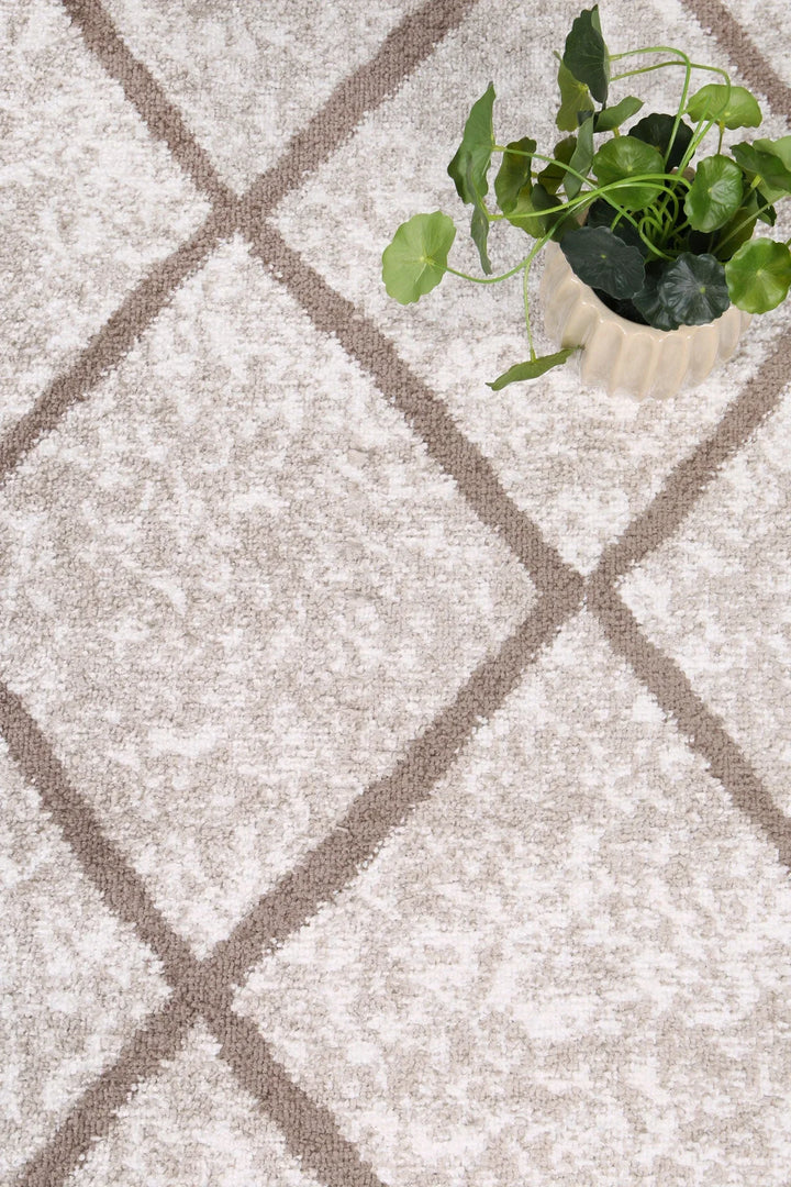 Kimberley Trellis Latte Contemporary Rug - DLB Furniture