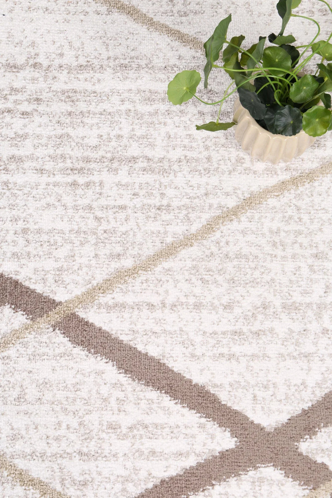 Kimberley Lattice Latte Contemporary Rug - DLB Furniture