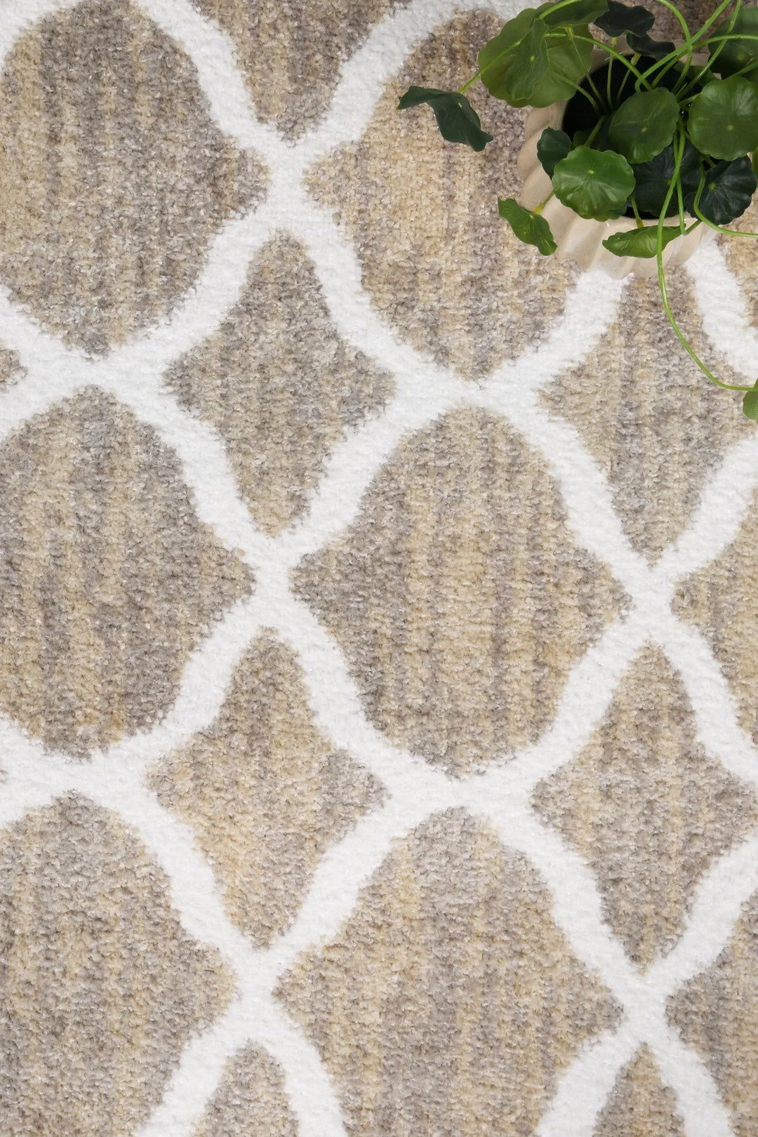 Kimberley Repeat Latte Contemporary Rug - DLB Furniture
