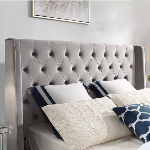 Colima Velvet Bed Head - DLB Furniture